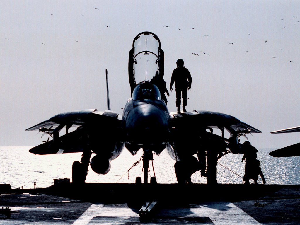 Avion de chasse militaire (7)